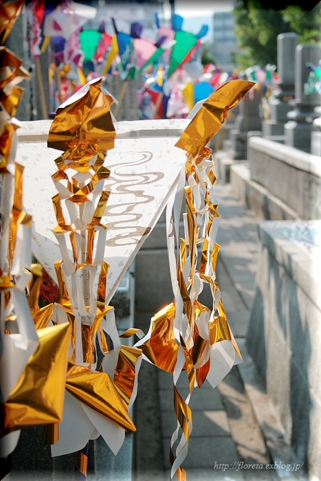 f0083400_1103976.jpg