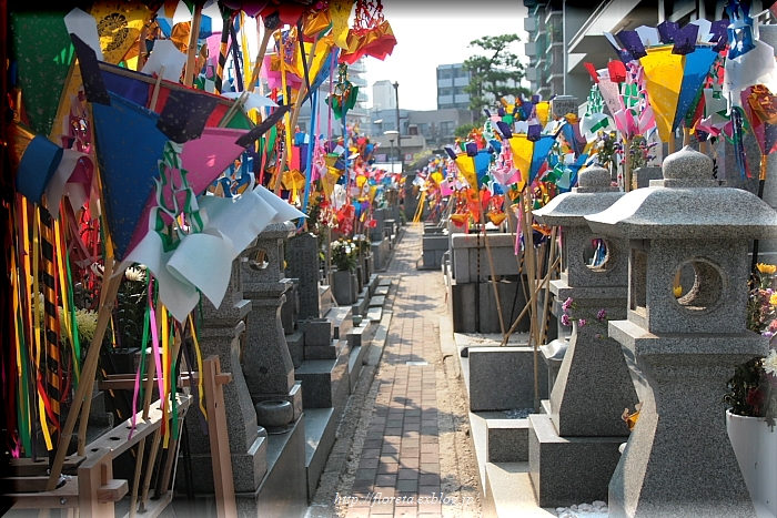 f0083400_1111063.jpg