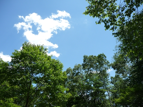 f0256400_9332838.jpg
