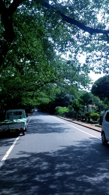 c0202101_23314864.jpg