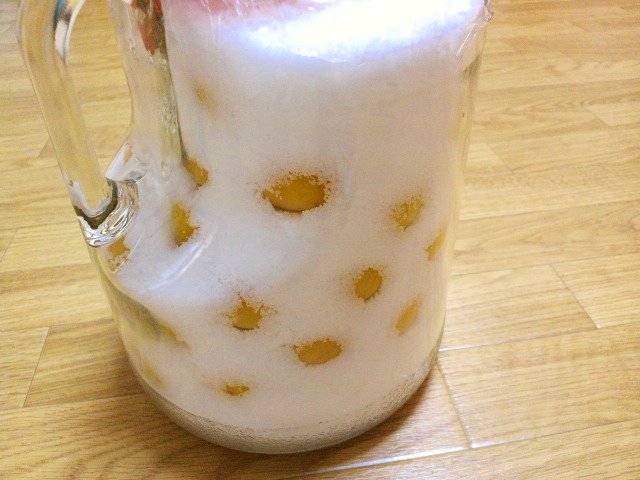 e0175702_184081.jpg