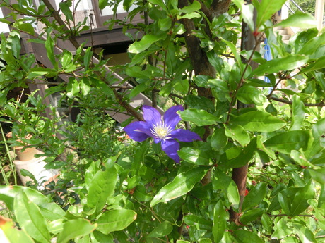 a0203003_9451051.jpg