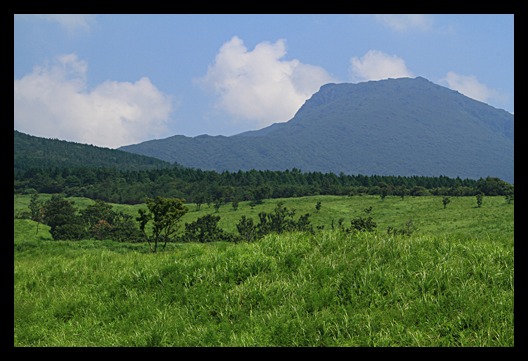 b0014607_1153439.jpg