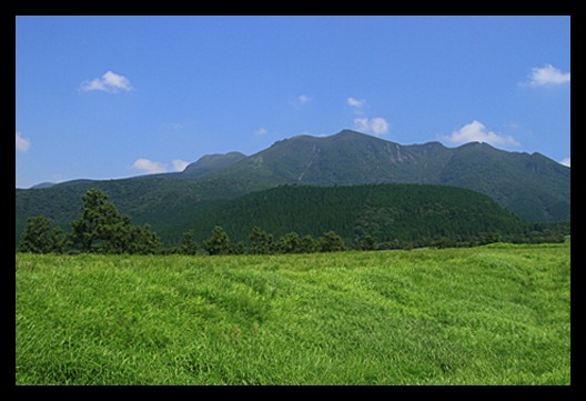 b0014607_11535411.jpg
