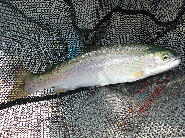 c0232813_20373468.jpg