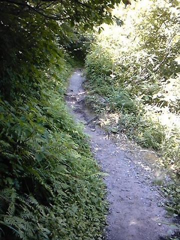 c0223419_1543584.jpg