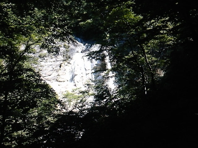 c0223419_15455058.jpg