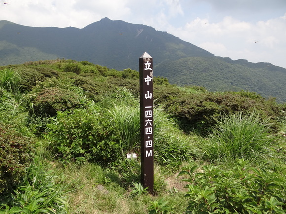 f0198620_17465445.jpg
