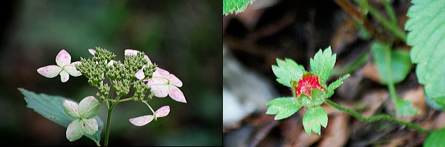 f0248120_1711580.jpg