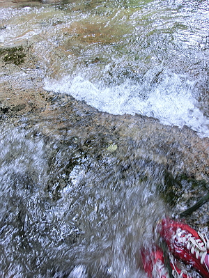 f0248120_17163096.jpg
