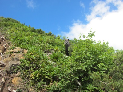 f0177521_9182824.jpg
