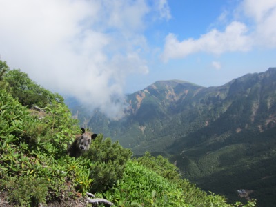 f0177521_9495010.jpg