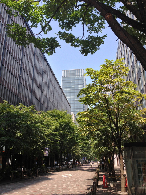 e0081334_1904723.jpg