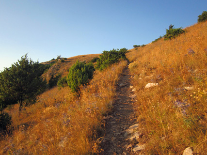 f0234936_21412711.jpg