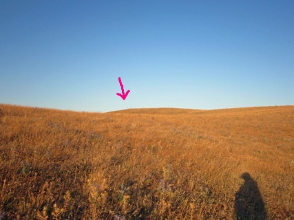 f0234936_21414011.jpg