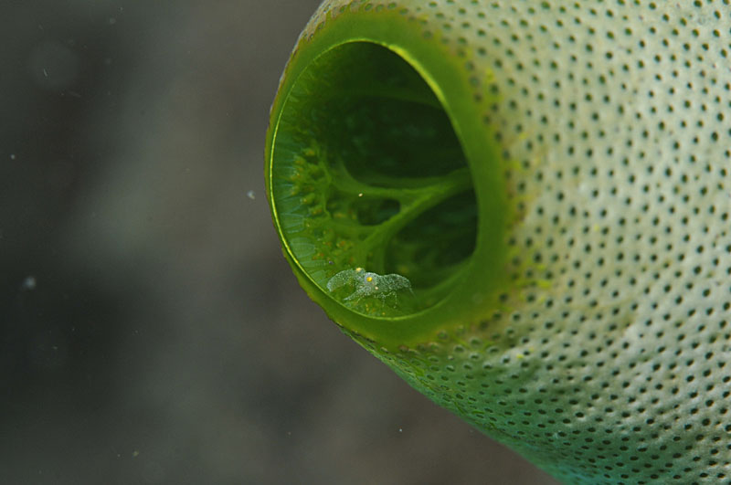 b0042837_9499100.jpg
