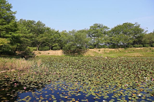 a0242438_19261697.jpg