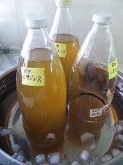 d0031853_17153661.jpg