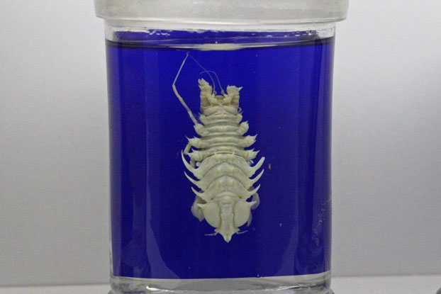 e0294253_1302763.jpg
