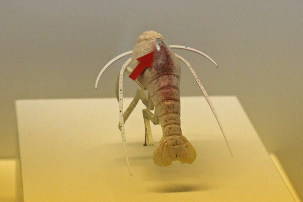e0294253_850244.jpg