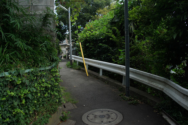c0080357_19473619.jpg