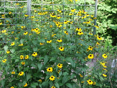 e0088260_18124198.jpg