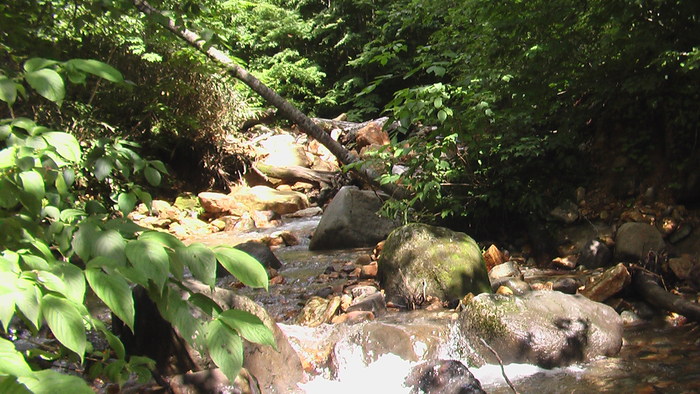 b0208961_18105042.jpg