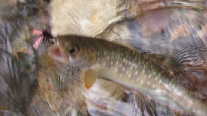 b0208961_18121477.jpg