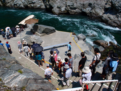 c0122670_1138266.jpg
