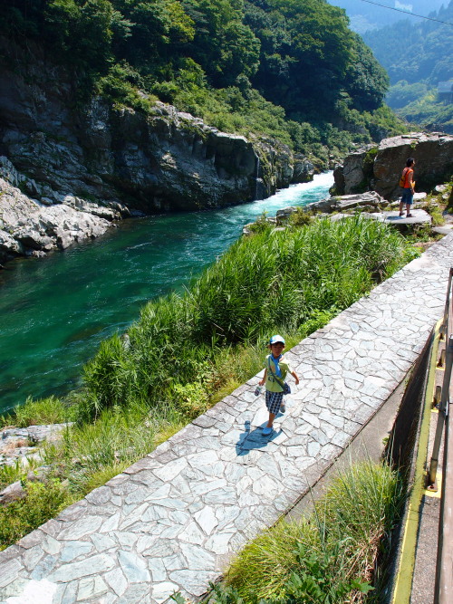 c0122670_1138977.jpg