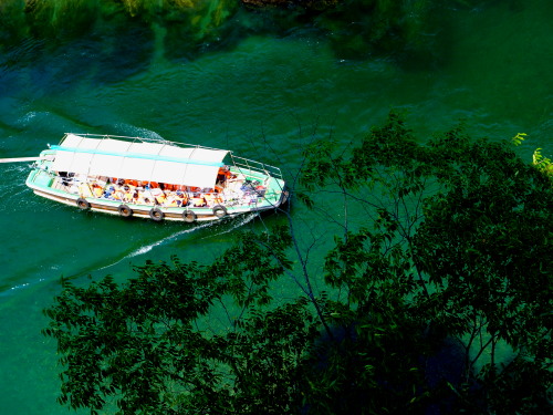 c0122670_1145523.jpg