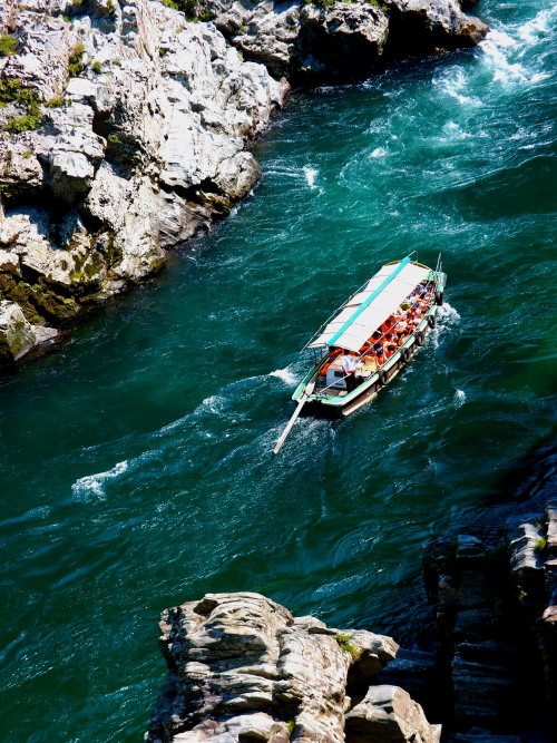 c0122670_114687.jpg