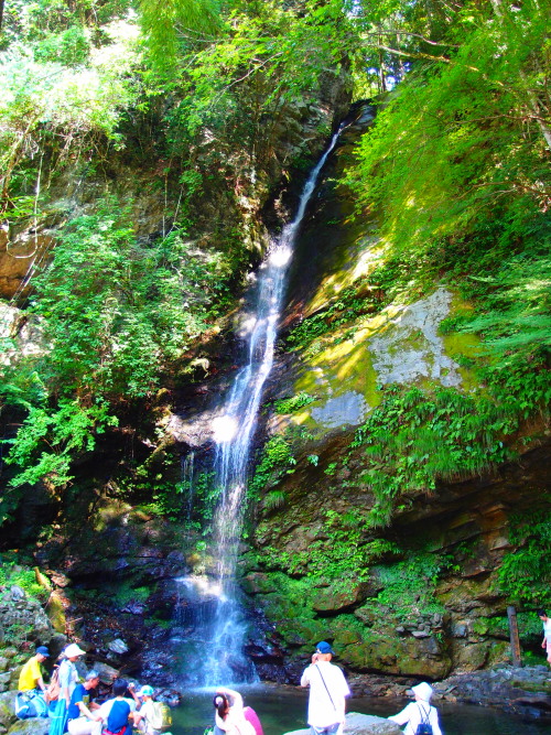 c0122670_1262869.jpg