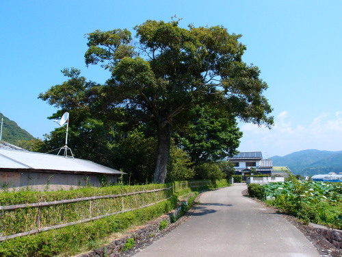 c0122670_18251649.jpg