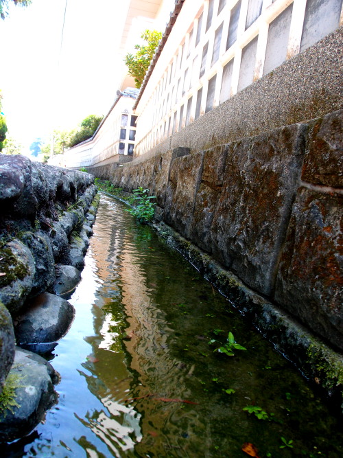c0122670_1825288.jpg