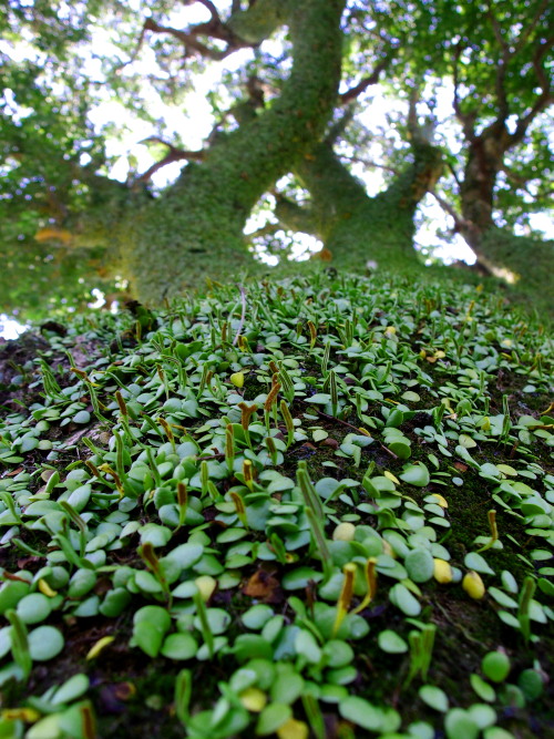 c0122670_18273420.jpg