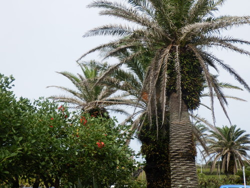 e0292172_202494.jpg