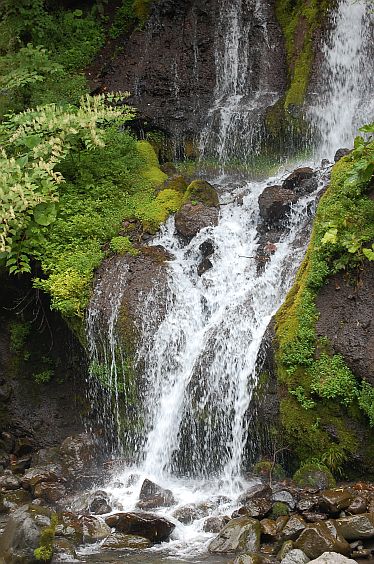 f0190774_15172049.jpg