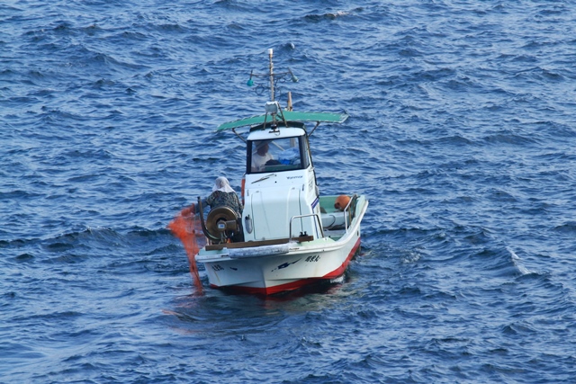 d0126577_0132564.jpg