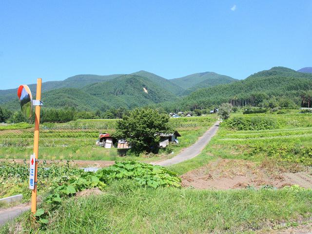 e0188677_1734423.jpg