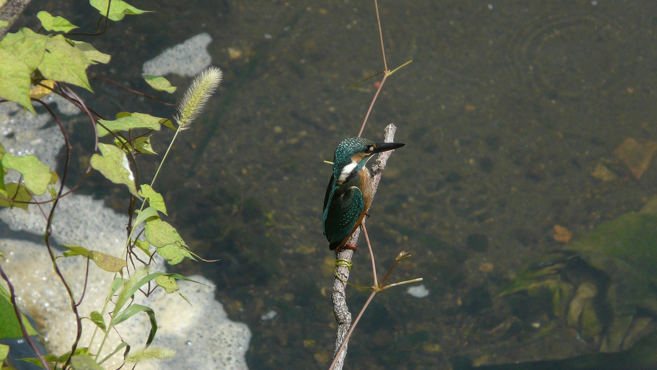 a0185081_14324010.jpg