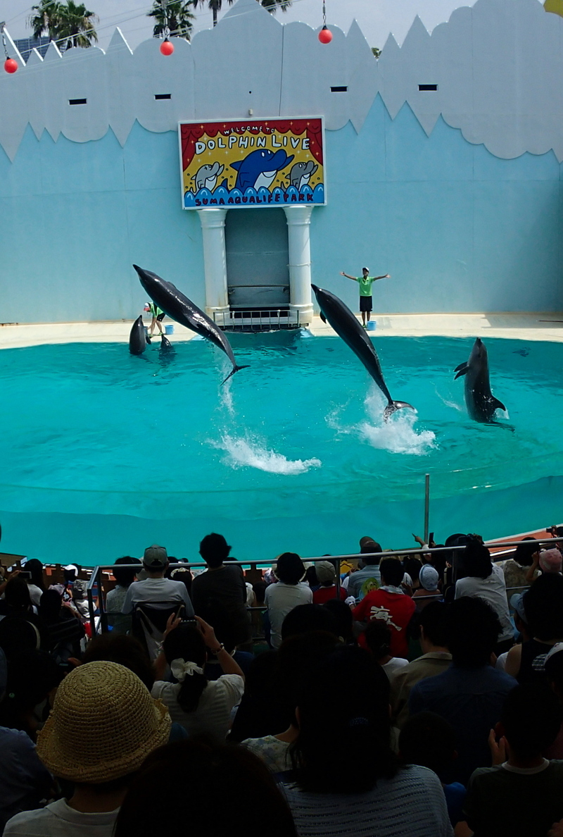 e0024081_1857972.jpg