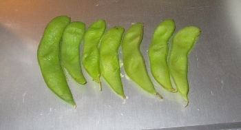 f0003283_9242294.jpg