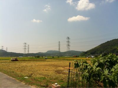 b0174284_11314792.jpg