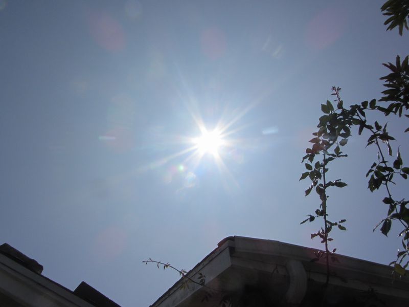 b0202185_10224555.jpg