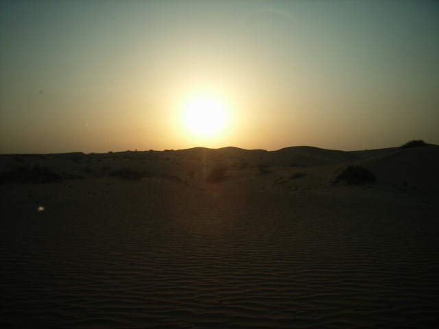 b0287088_226486.jpg