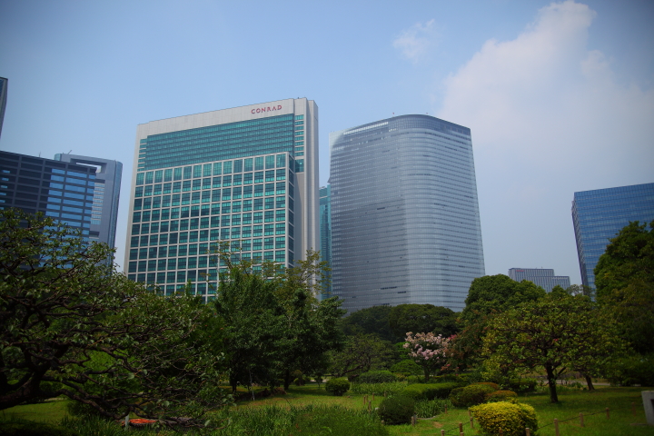 f0164989_1053820.jpg