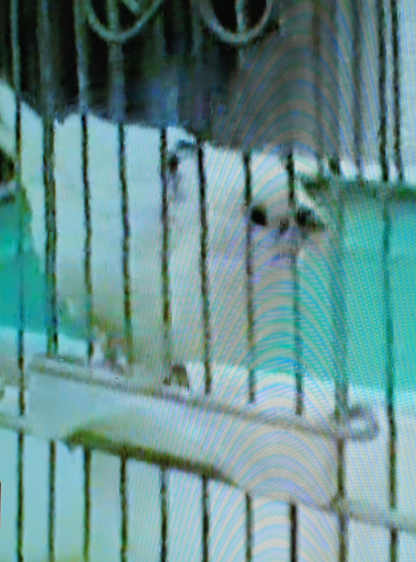 c0139591_3254993.jpg