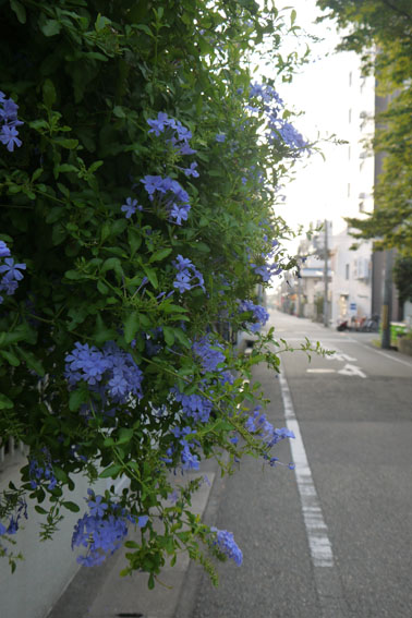 f0222692_8483661.jpg