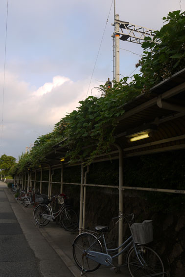 f0222692_8502099.jpg